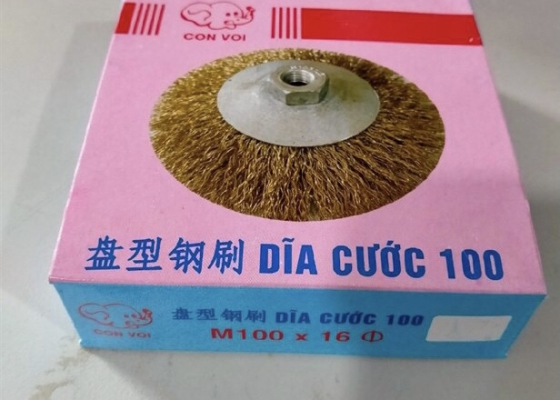 Dĩa cước thép lỗ 100*16